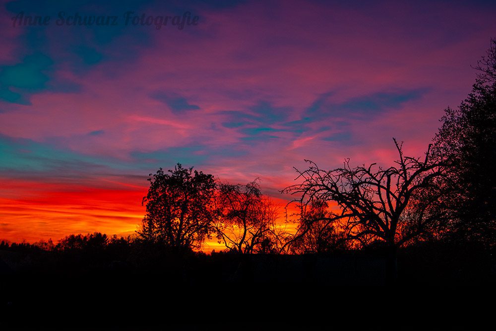 Sonnenuntergang im Frühling