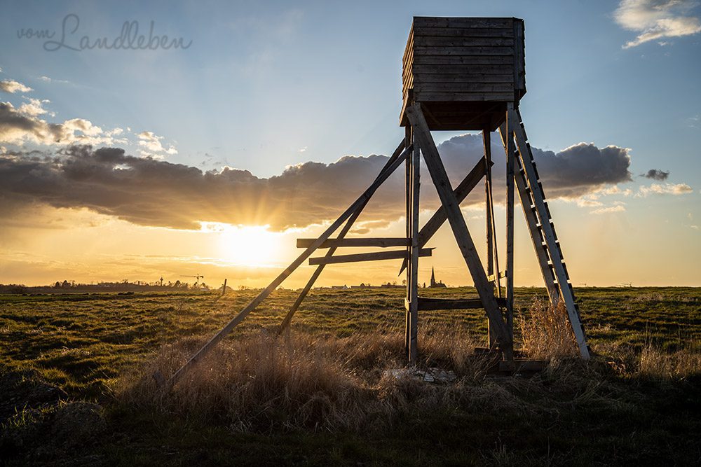 Sonnenuntergang bei Neunkirchen-Seelscheid