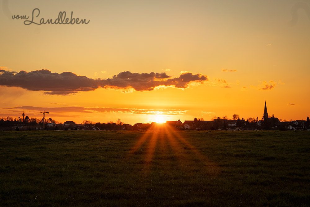 Sonnenuntergang bei Neunkirchen-Seelscheid