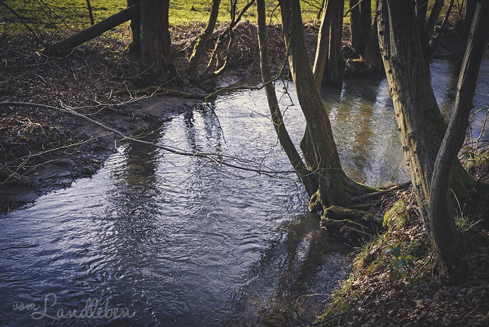 Spaziergang im Naafbachtal