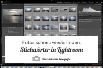 Stichwörter in Lightroom – Fotos schnell wiederfinden