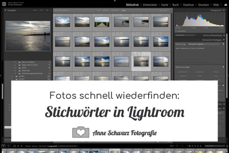 Stichwörter in Lightroom – Fotos schnell wiederfinden
