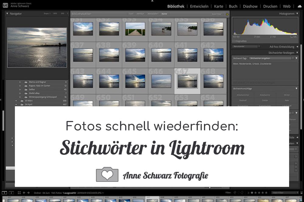 Stichwörter in Lightroom – Fotos schnell wiederfinden