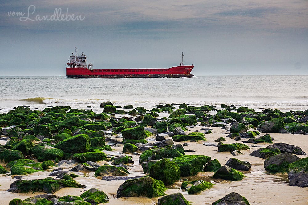 Am Strand in Zoutelande - Juni 2019
