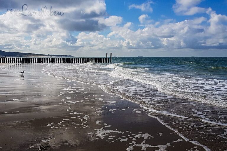 Am Strand in Zoutelande – Juni 2019