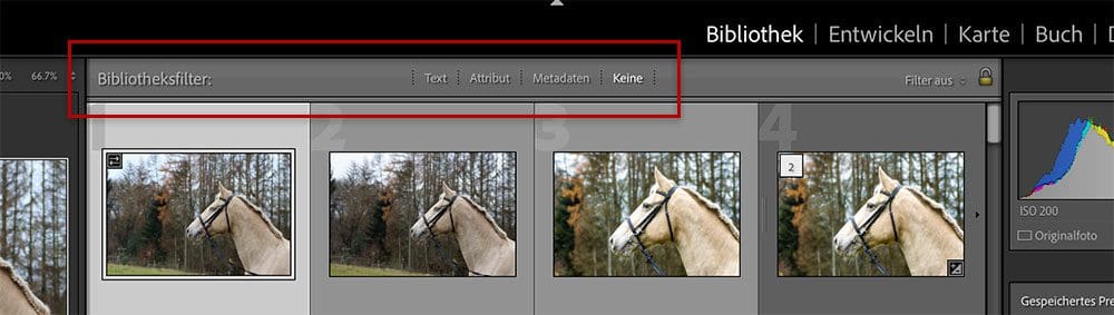 Suche in Adobe Lightroom