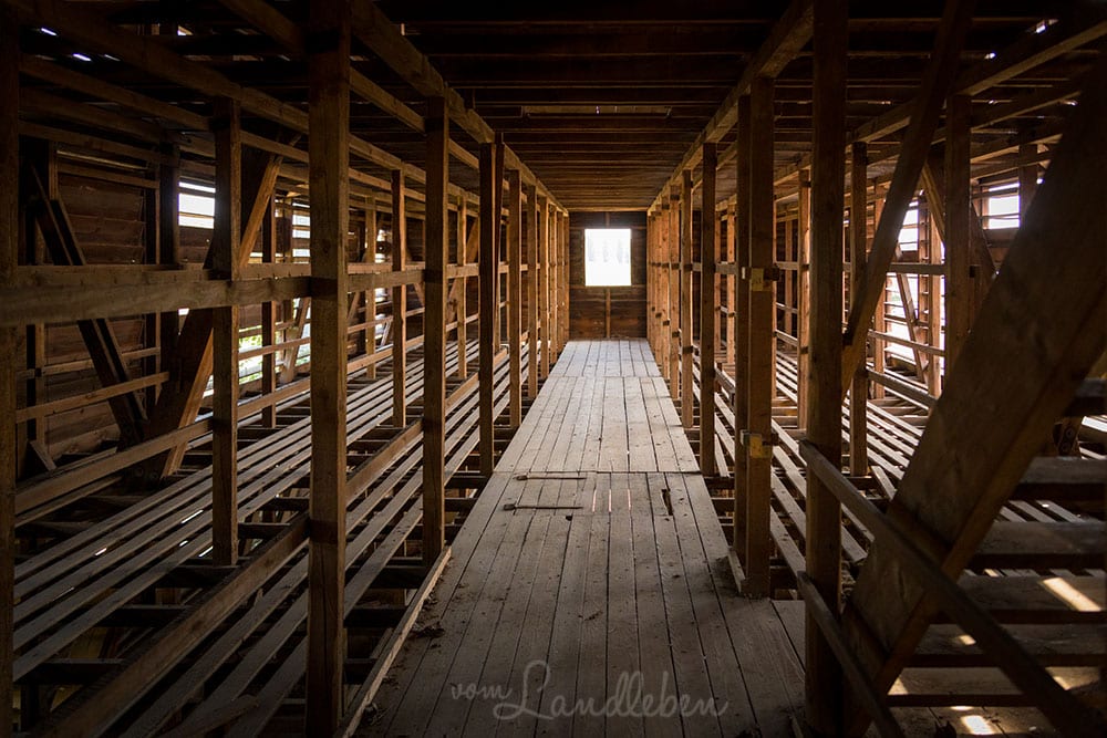 Verfallener Tabakschuppen in der Pfalz – Lost Places