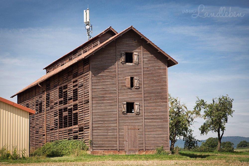 Verfallener Tabakschuppen in der Pfalz - Lost Places