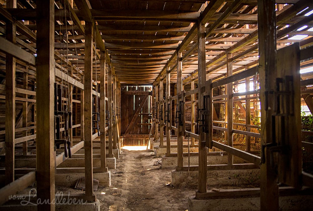 Verfallener Tabakschuppen in der Pfalz - Lost Places