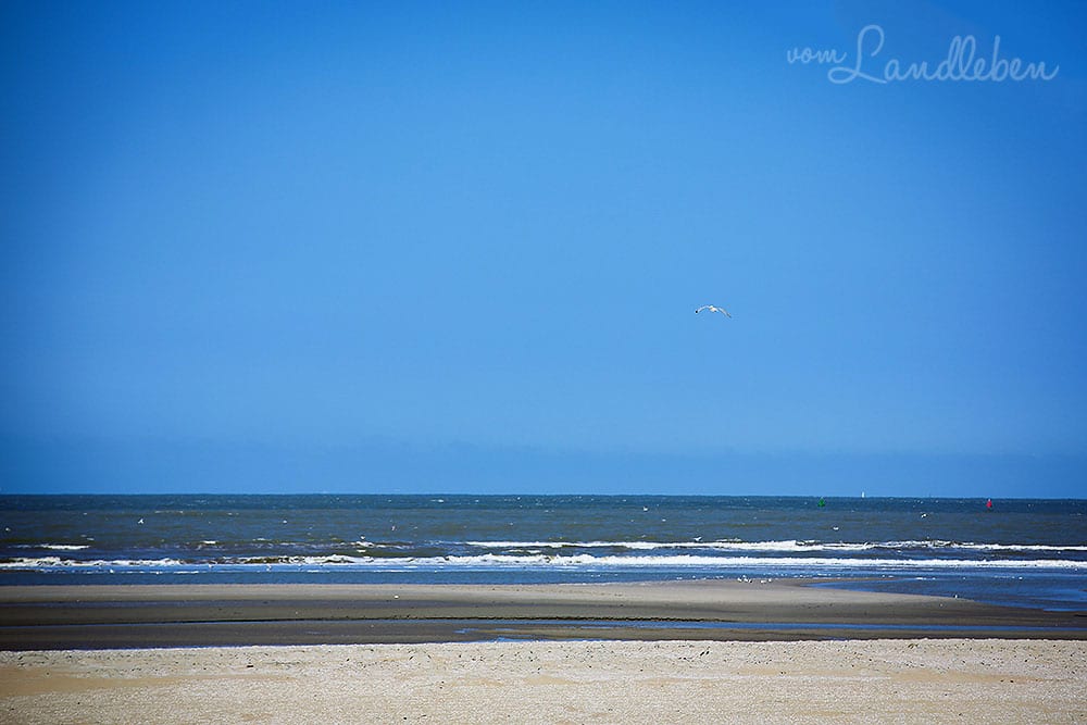 Am Strand in Ouddorp