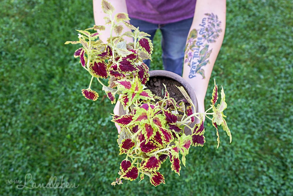 Tattoo mit Wildpflanzen