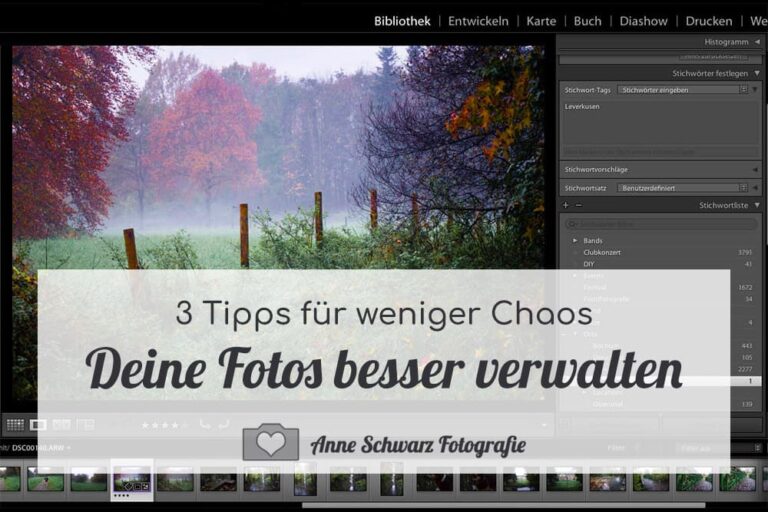 Fotos verwalten – 3 Tipps
