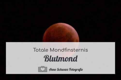 Totale Mondfinsternis – Blutmond