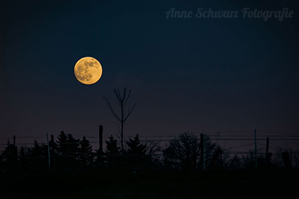 Vollmond fotografieren