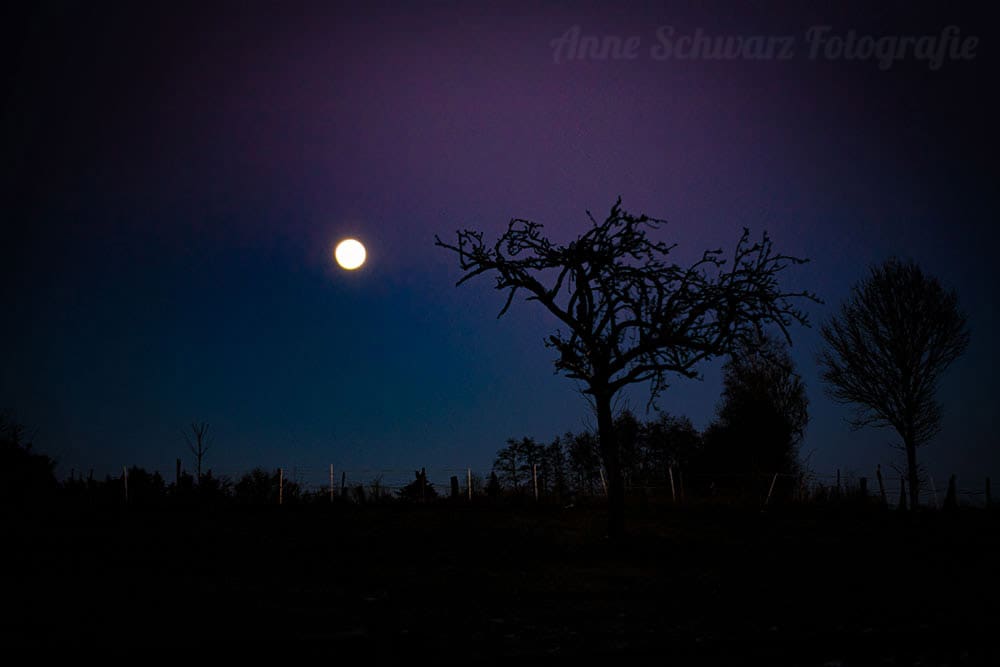 Vollmond im Januar 2019