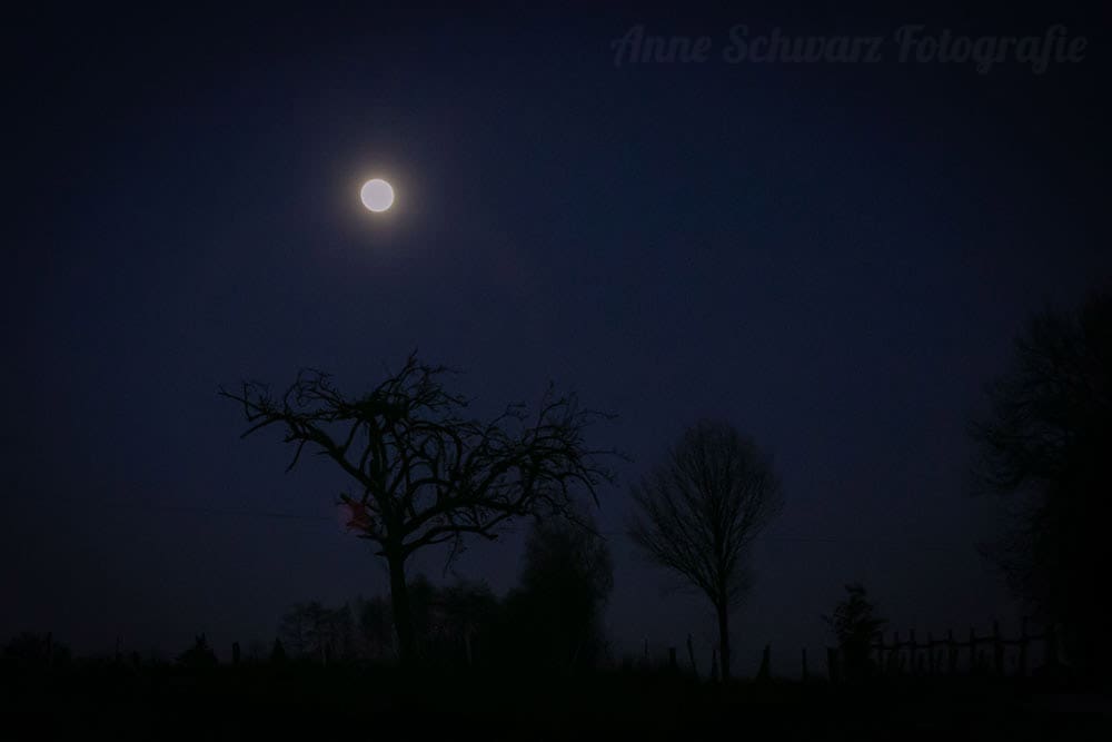 Vollmond im Januar 2019