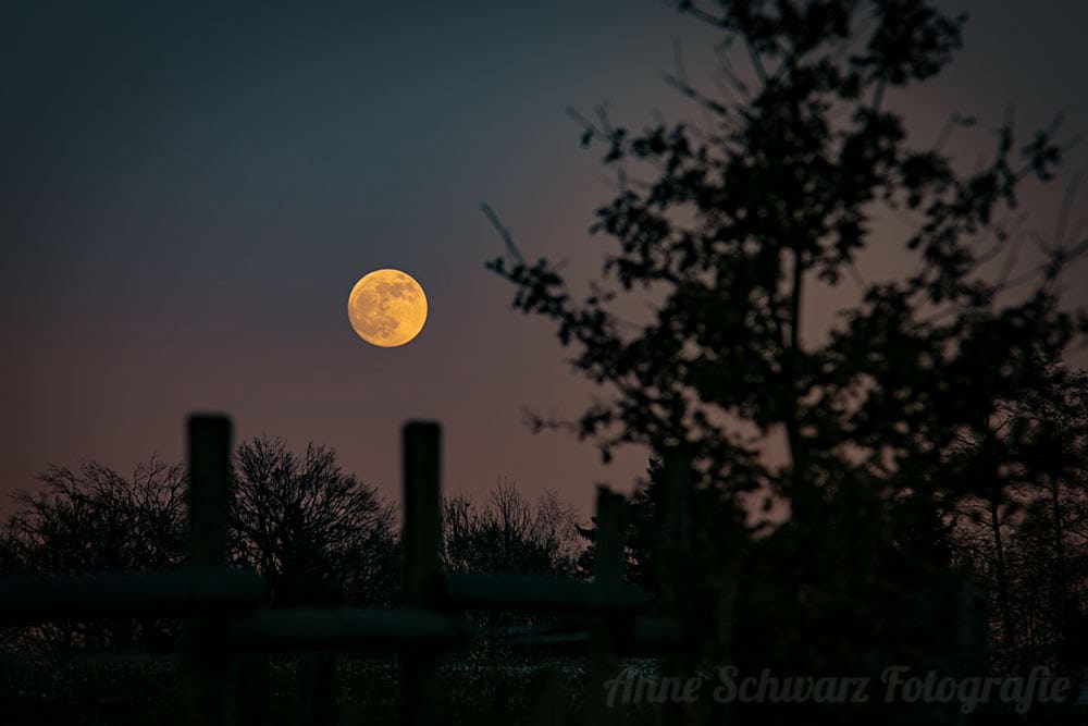 Vollmond im Januar 2019