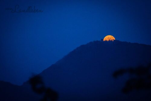 Vollmond im Siebengebirge