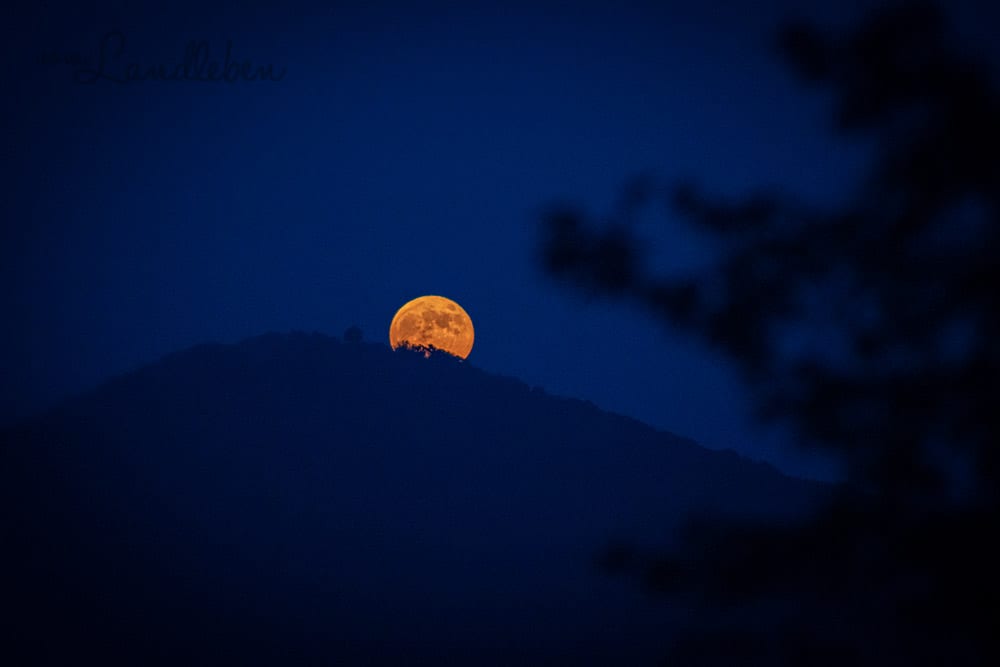Vollmond im Siebengebirge