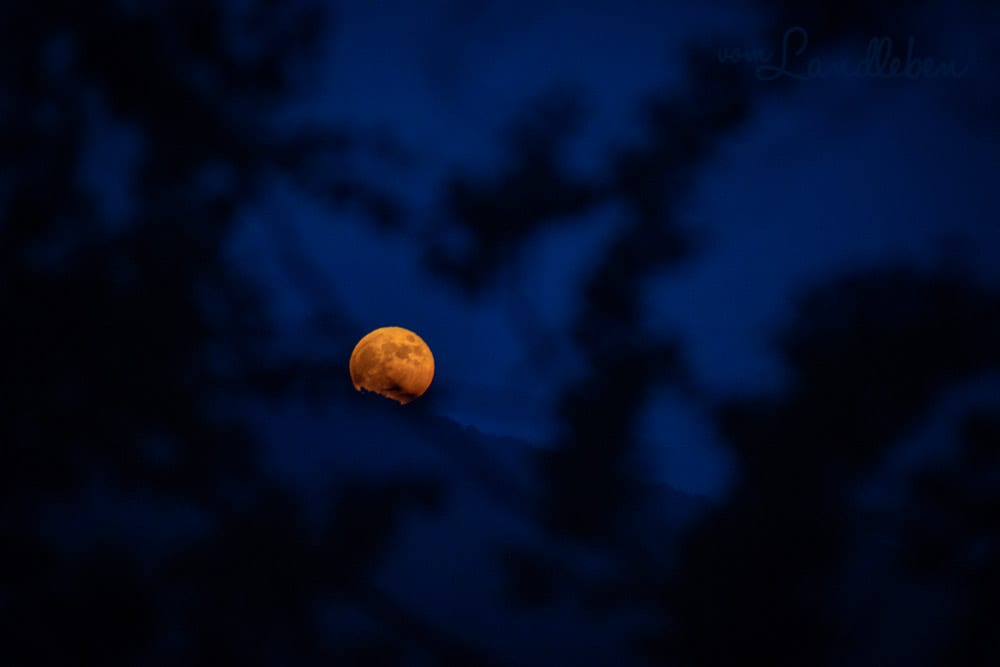 Vollmond im Siebengebirge