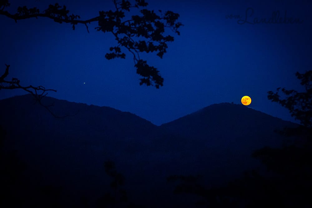 Vollmond im Siebengebirge
