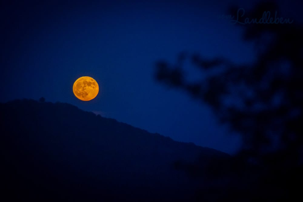 Vollmond im Siebengebirge