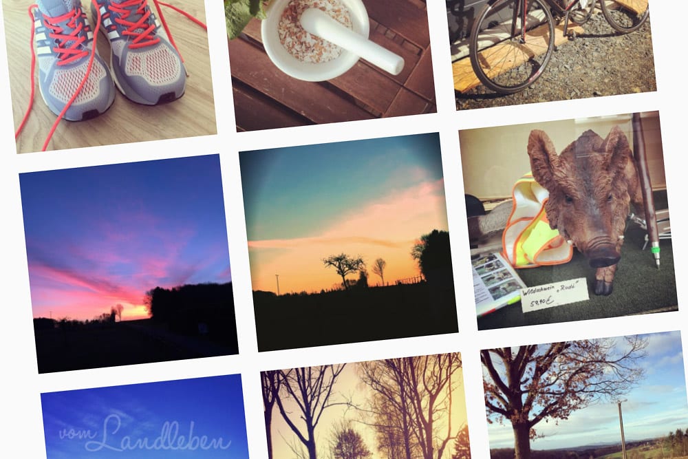 Anne Schwarz auf Instagram