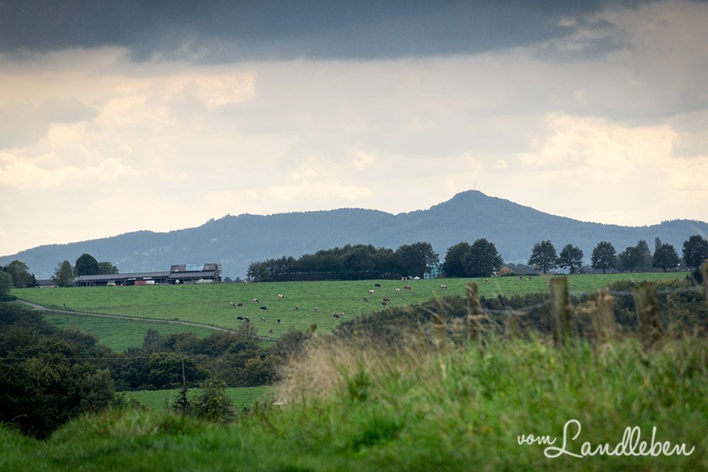 Blick von der Wahnbachtalsperre zum Siebengebirge