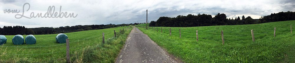 Spaziergang an der Wahnbachtalsperre