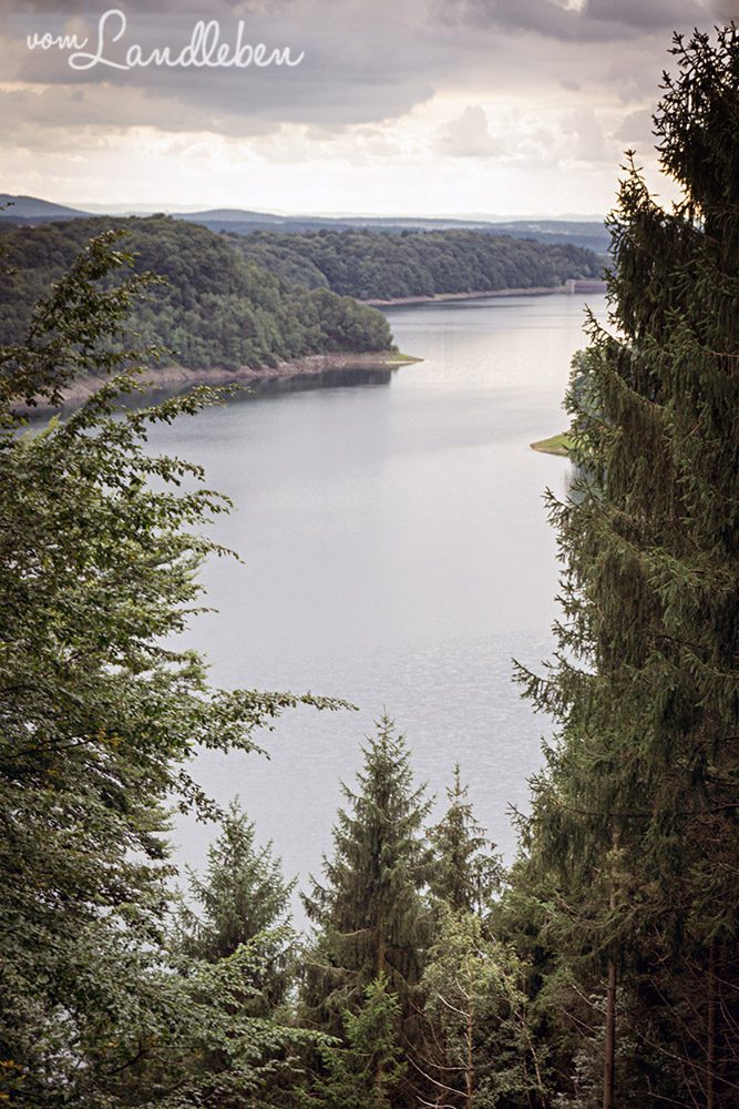 Spaziergang an der Wahnbachtalsperre
