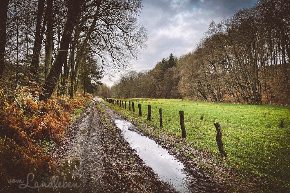 Wandern im Wendbachtal