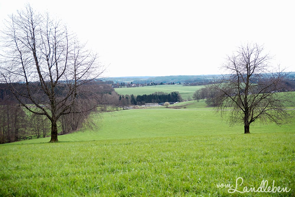 Wanderung zur Germana-Kapelle in Much