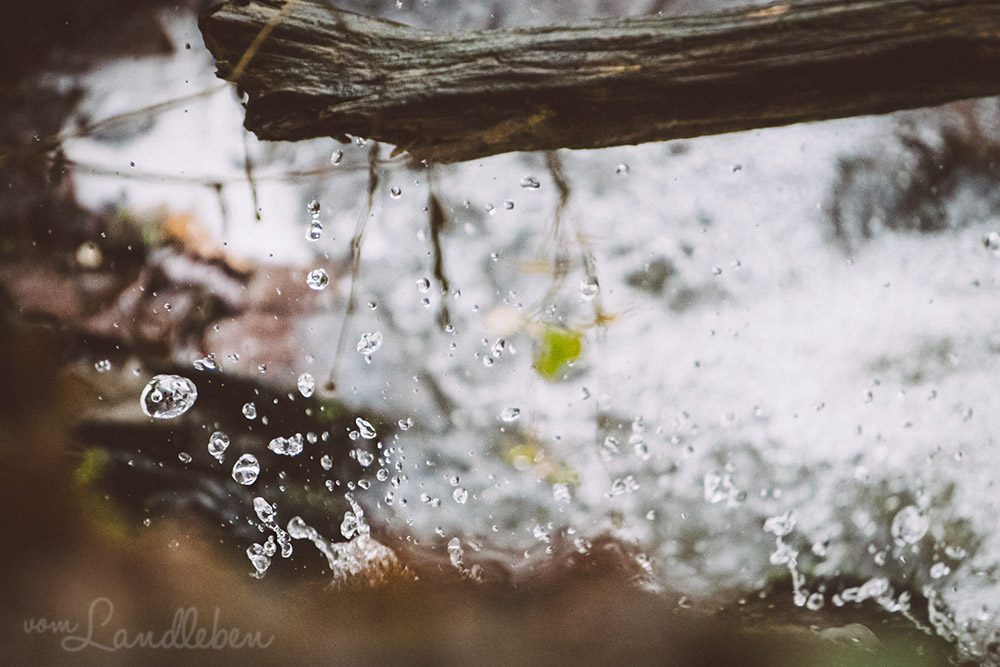 Wassertropfen an einem Wasserfall im Wald