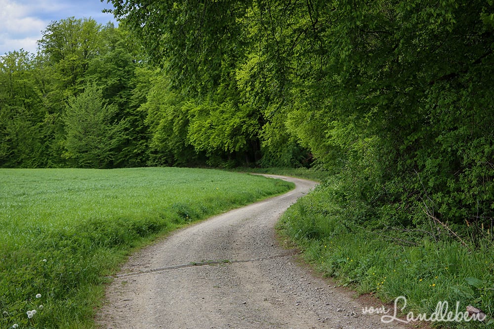 Wenigerbachtal bei Seelscheid