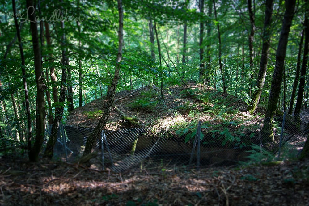 Bunkerruine am Westwall