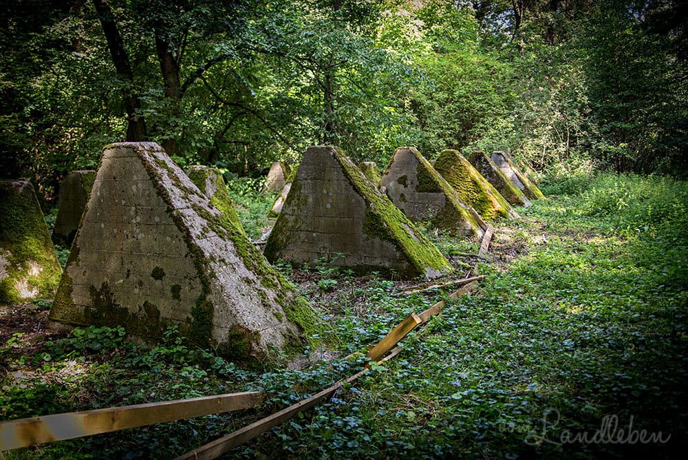 Westwall - Höckerlinie Niederotterbach