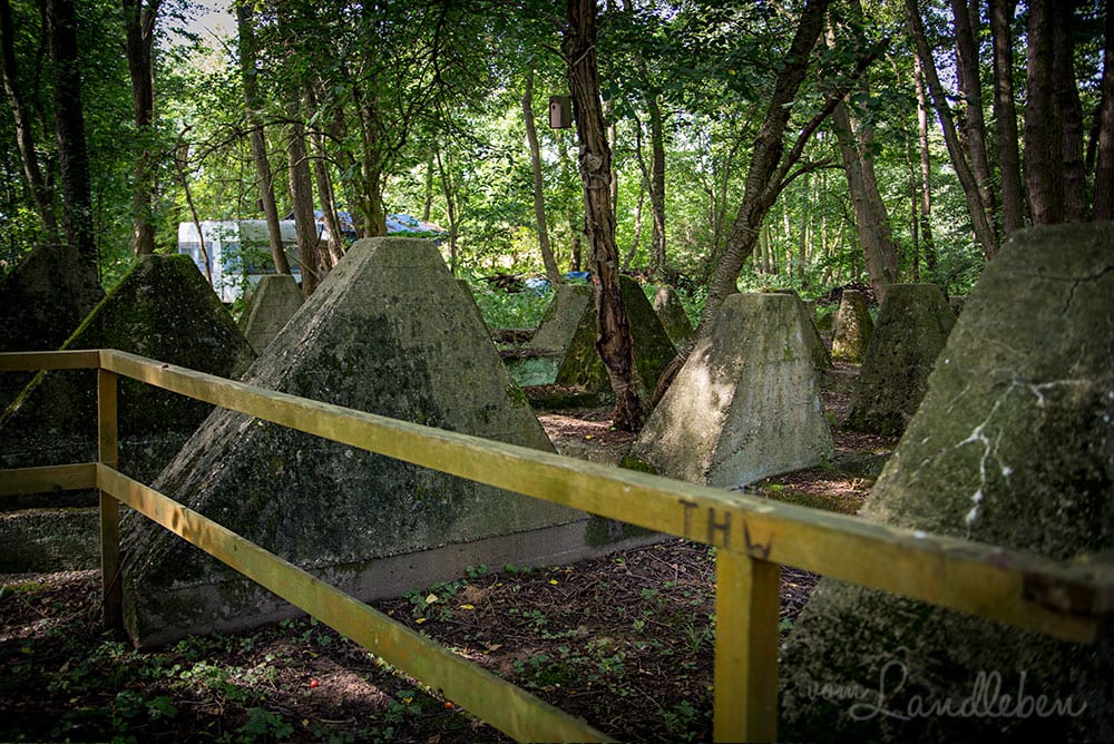 Westwall - Höckerlinie Niederotterbach