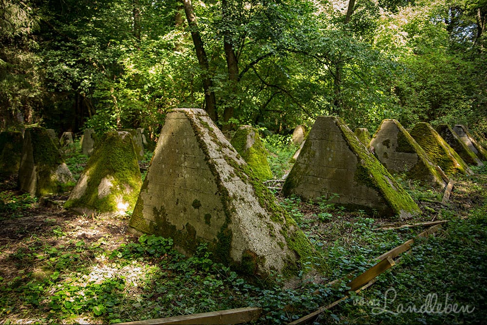 Westwall - Höckerlinie Niederotterbach