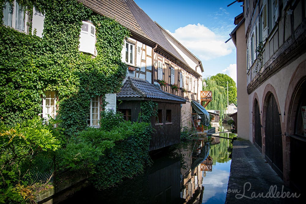 An der Lauter in Wissembourg