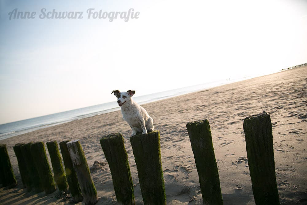 Workflow beim Fotografieren - Lightroom