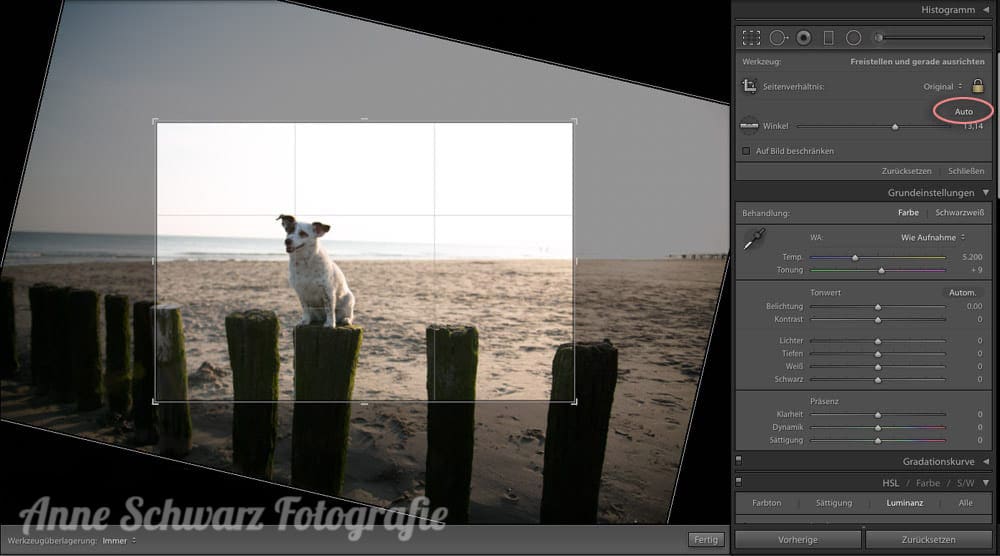 Workflow beim Fotografieren - Lightroom
