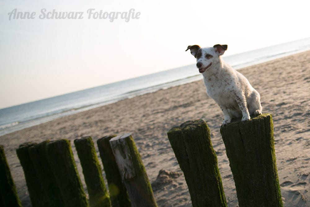 Workflow beim Fotografieren - Lightroom