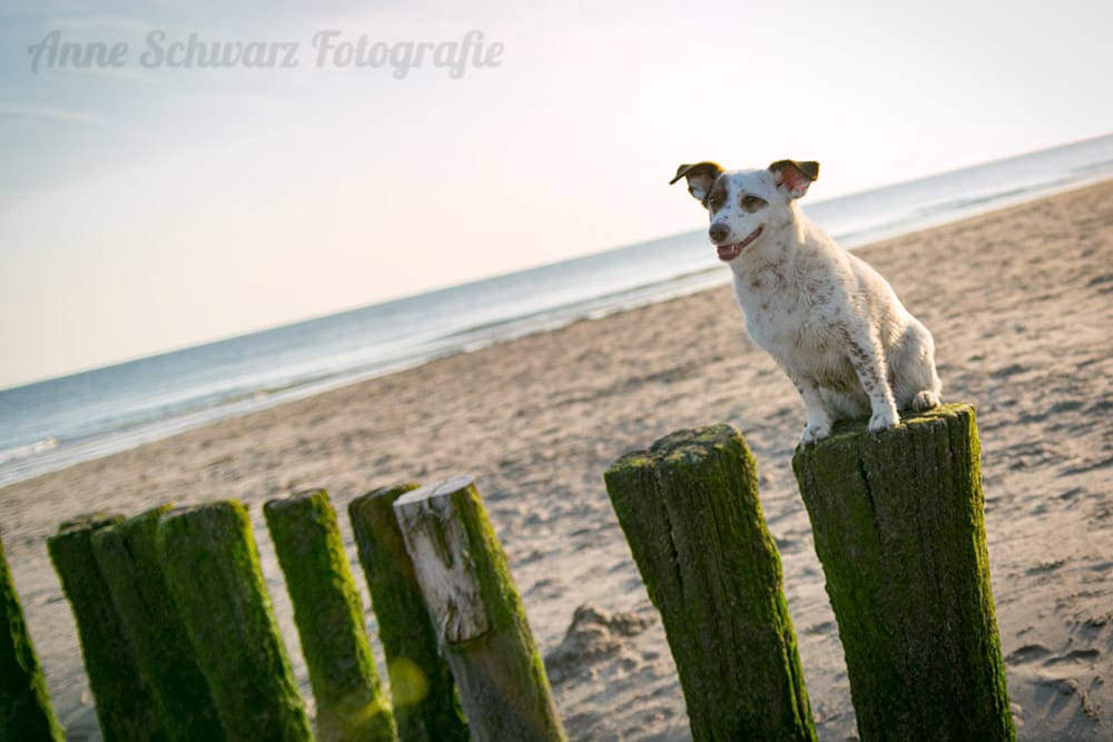 Workflow beim Fotografieren - Lightroom