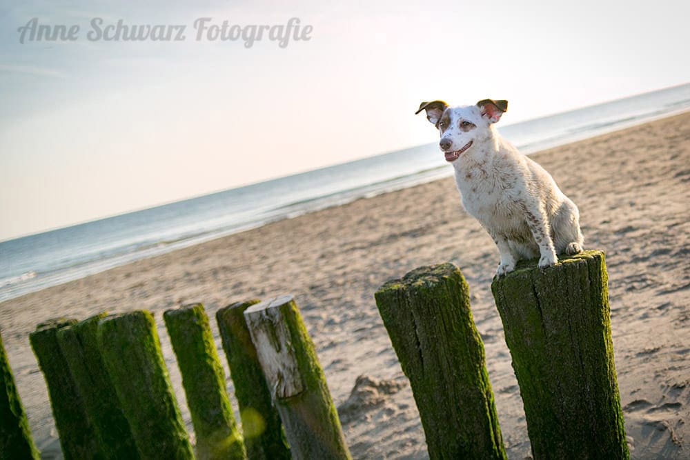 Workflow beim Fotografieren - Lightroom