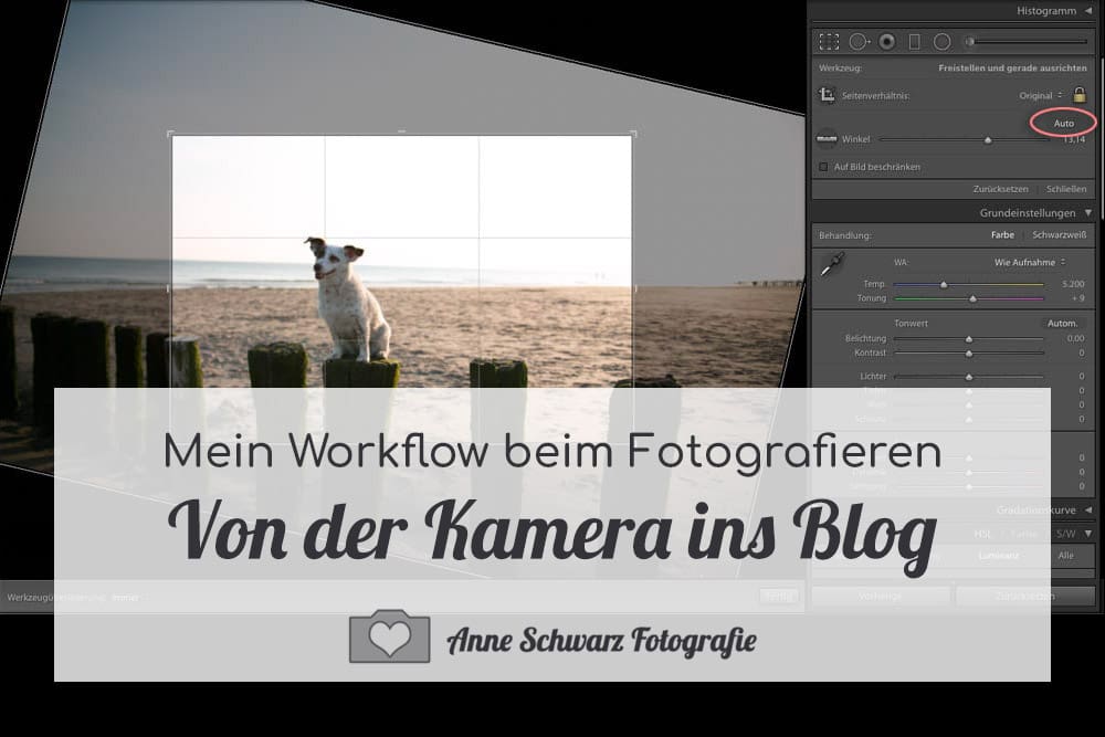 Workflow beim Fotografieren – von der Kamera ins Blog