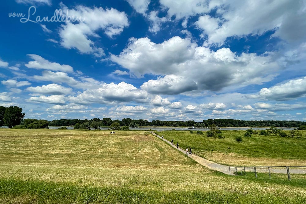 Auf dem Rheindamm bei Zons