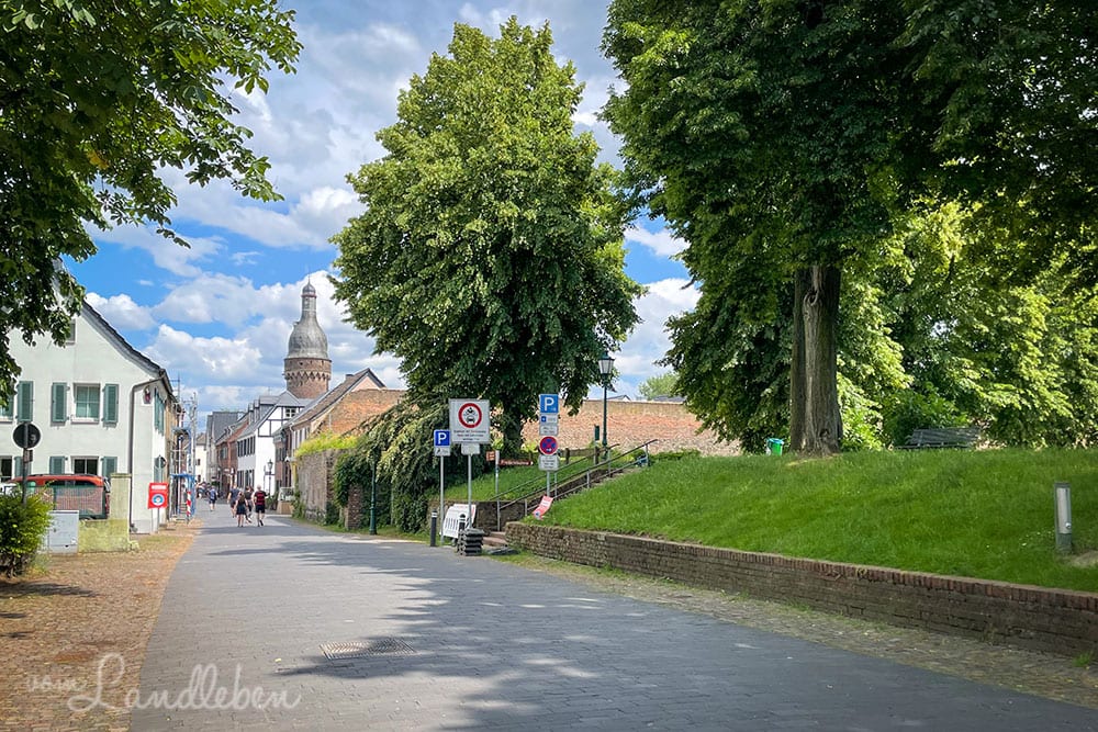 Die Zonser Altstadt mit Blick auf den Juddeturm