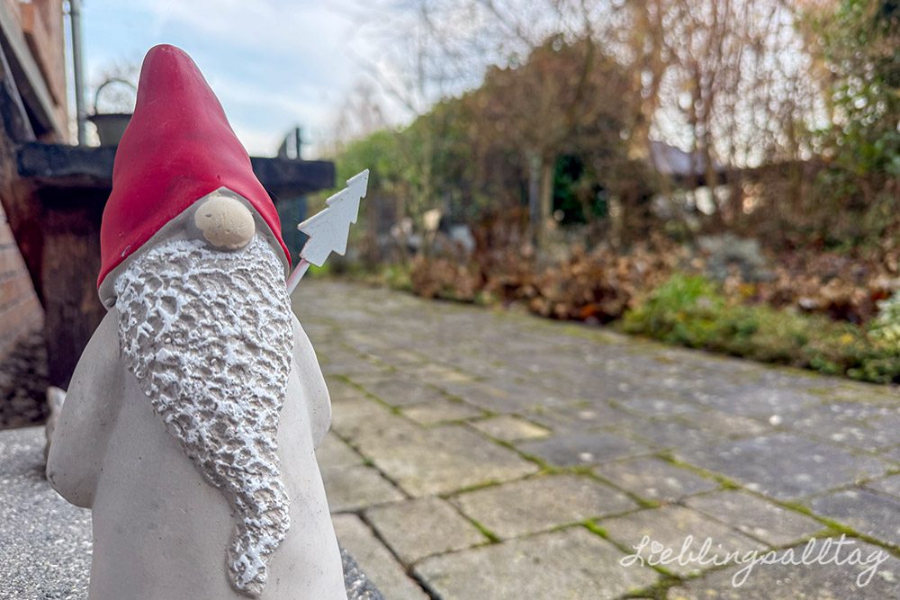 12 von 12 – Dezember 2025 – Gartenarbeit