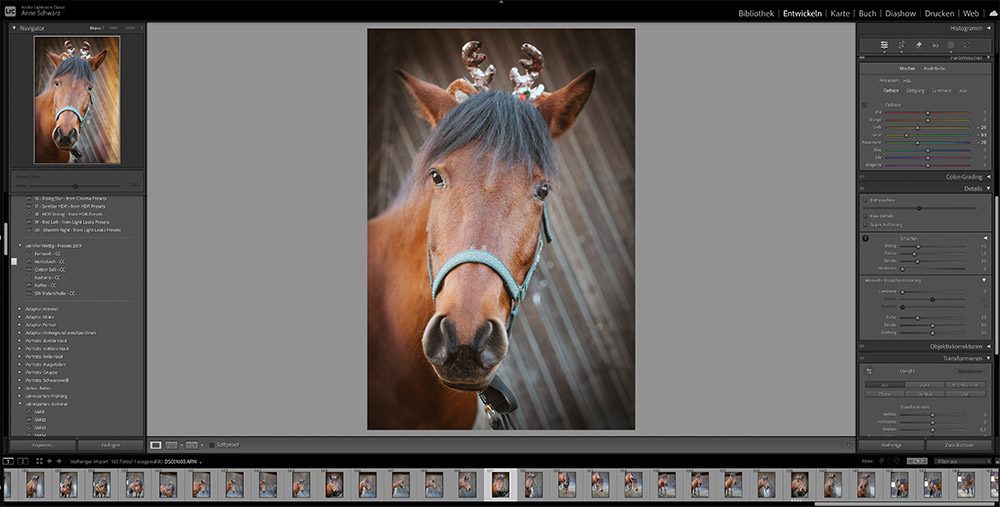 12 von 12 – Dezember 2025 – Pferdefotos bearbeiten