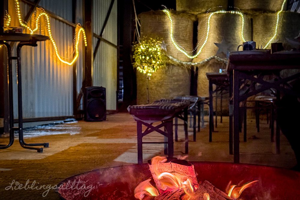 12 von 12 – Dezember 2025 – Stallweihnachtsfeier